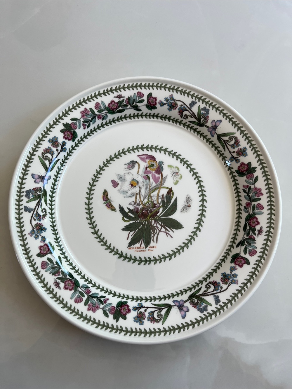 Portmeirion Dinner Plate. Botanic Variations 10.5" Christmas Rose. Like New. - Picture 5 of 8